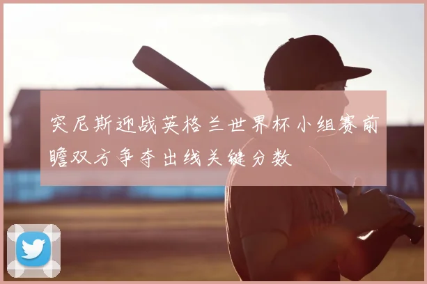 突尼斯迎战英格兰世界杯小组赛前瞻双方争夺出线关键分数