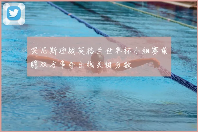 突尼斯迎战英格兰世界杯小组赛前瞻双方争夺出线关键分数