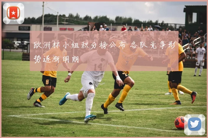 欧洲杯小组积分榜公布 各队竞争形势逐渐明朗