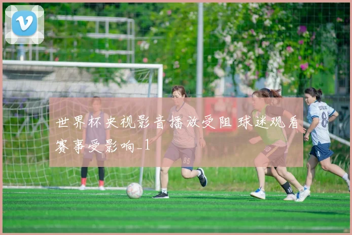 世界杯央视影音播放受阻 球迷观看赛事受影响_1