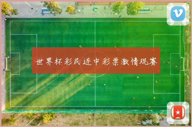 世界杯彩民连中彩票激情观赛