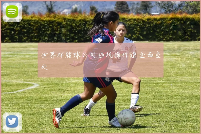 世界杯赌球公司违规操作遭全面查处