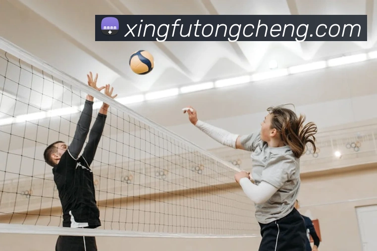 华体官网登录入口平台APP 封面图